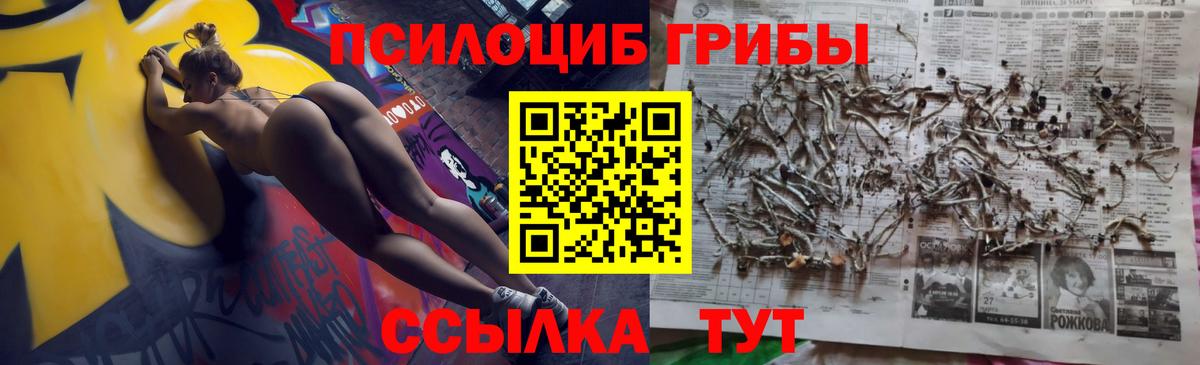 Псилоцибиновые грибы мицелий Клин